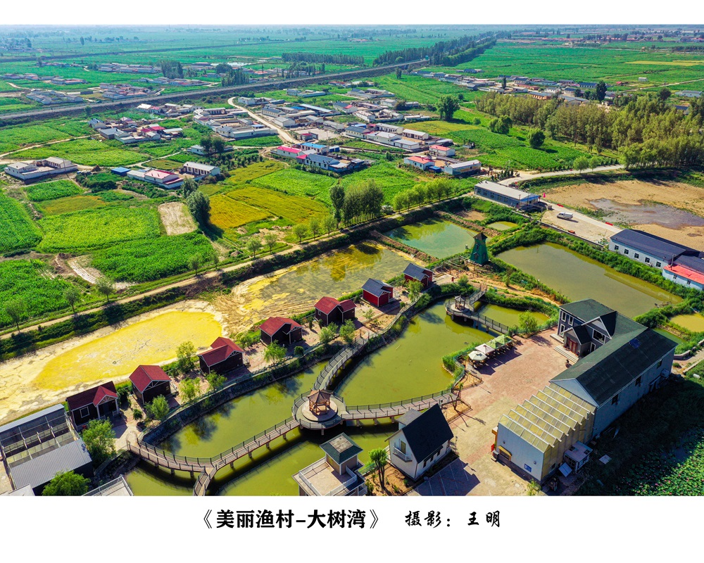 《美丽渔村-大树湾》-王明（DJI_0030）.jpg